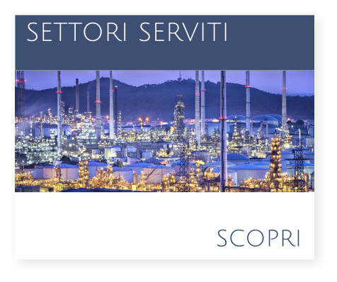 scopri  SETTORI SERVITI